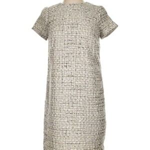 Ann Taylor Neutral Tweed Dress